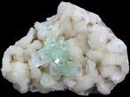 Zoned Apophyllite Crystals on Stilbite Association - India #44442-1